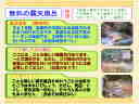 4�y�[�W