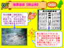 11�y�[�W