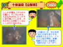 21�y�[�W